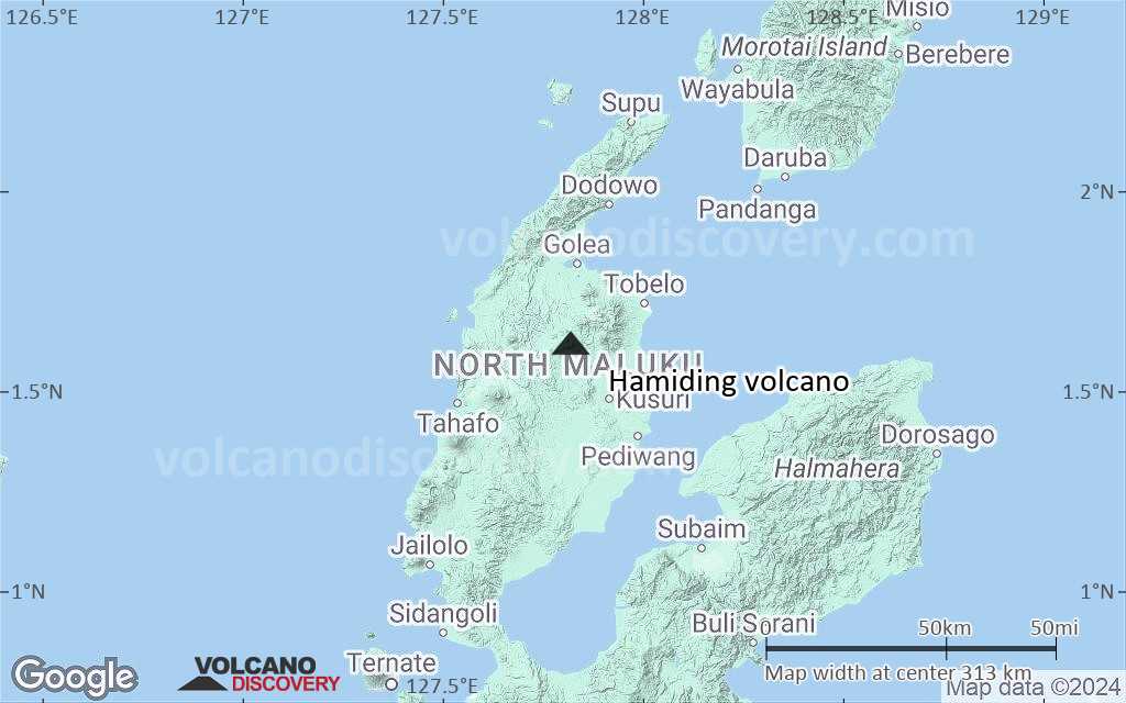Terrain-type map of Hamiding volcano (local scale medium)
