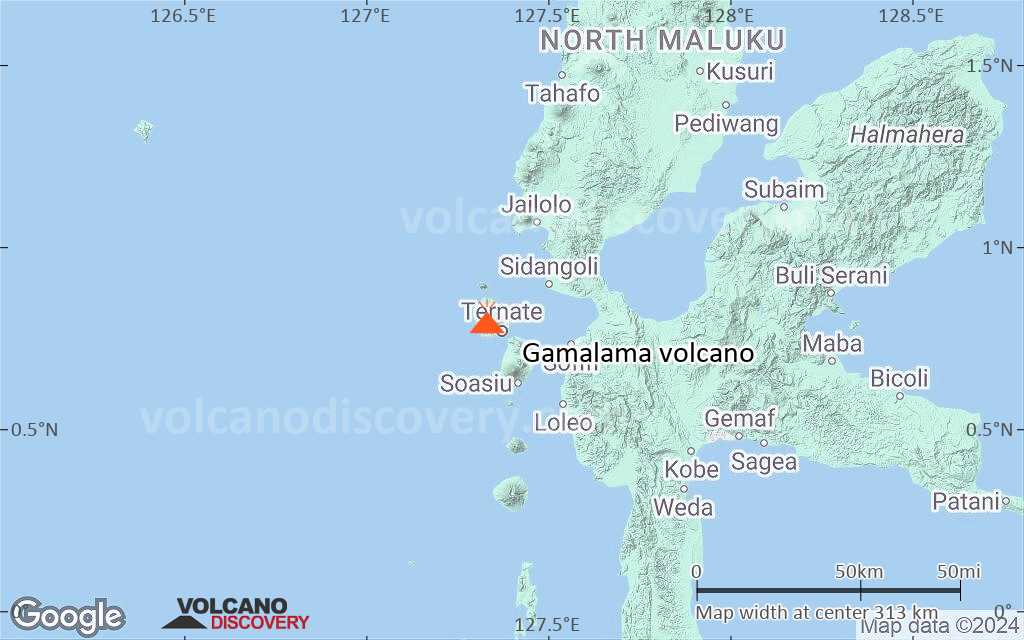 Terrain-type map of Gamalama volcano (local scale medium)