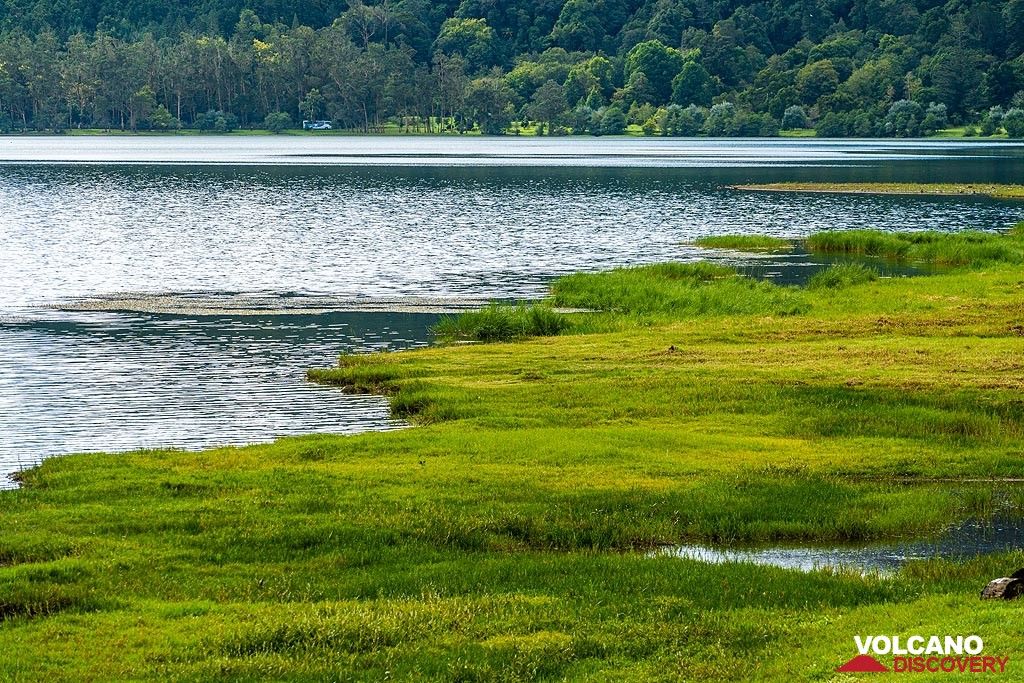Photo of the Day: Shore of Furnas' volcano caldera lake
