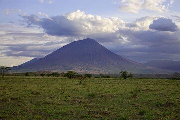 The steep stratovolcano of Lengai volcano seen from the plain of the Rift Valley. (Photo: Tom Pfeiffer)