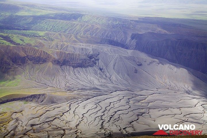 Ash falls from eruptions during the past weeks have been concentrated in a sector west of the volcano according to prevailing easterly winds. Much of the vegetation on the Rift Valley walls and beyond has died. (Photo: Tom Pfeiffer)