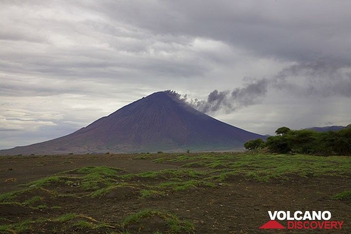 Volcan Lengai faiblement fumant vu depuis la plaine de la vallée du Rift près du lac Natron. (Photo: Tom Pfeiffer)