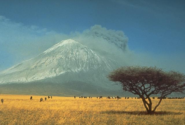 Lengai's explosive eruption in 1966. (c)