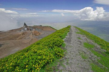 El camino de la cresta que conduce a la cumbre. (Photo: Tom Pfeiffer)