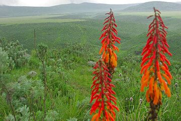 Olmoti crater (Photo: Tom Pfeiffer)