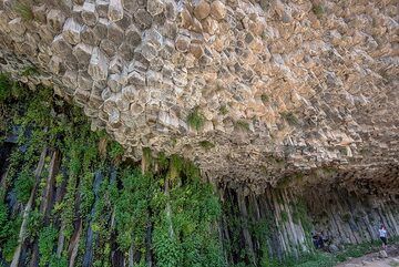 Речная эрозия образовала открытую пещеру высотой около 5 метров и шириной 4 метра на берегу реки, обеспечив естественное тенистое укрытие о (Photo: Tom Pfeiffer)