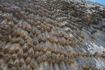 View up along the cliff made of long regular lava columns (Photo: Tom Pfeiffer)