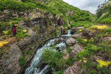 Au bord du petit ruisseau. (Photo: Tom Pfeiffer)