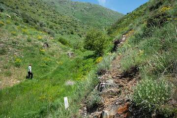 Le sentier continue à flanc de vallée. (Photo: Tom Pfeiffer)