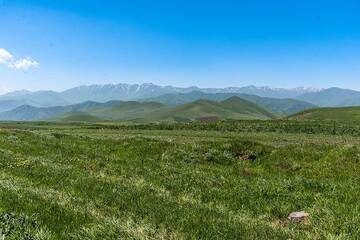 A day later, we are moving towards Tatev in the SE of the country. Some impressions of the volcanic landscape near Vorotan pass with the 3000+ m high chain of the Transcaucasus mountains in the background to the S. (Photo: Tom Pfeiffer)