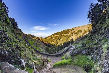 The area around the holy tree Arbol Garoe on El Hierro island. (Photo: Tobias Schorr)