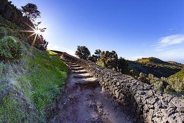 L'escalier de l'arbre sacré Arbol Garoe sur l'île d'El Hierro. (Photo: Tobias Schorr)