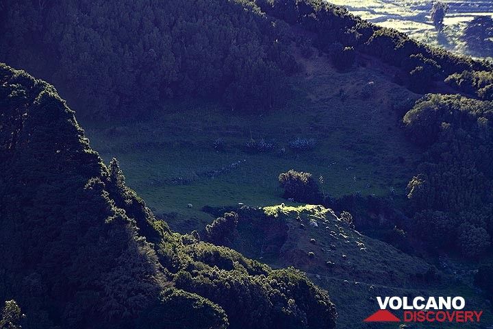A green meadow in a volcano crater on El Hierro island. (Photo: Tobias Schorr)