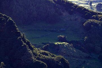 Une prairie verte dans un cratère de volcan sur l'île d'El Hierro. (Photo: Tobias Schorr)