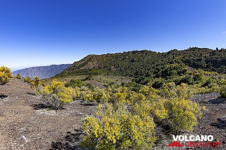 The landscape around the Tanganasoga volcano on El Hierro island. (Photo: Tobias Schorr)