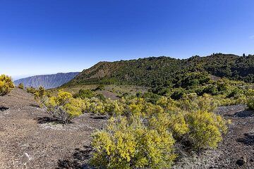 Le paysage autour du volcan Tanganasoga sur l'île d'El Hierro. (Photo: Tobias Schorr)