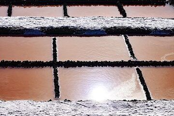 The salt collecting facilities on La Palma island. (Photo: Tobias Schorr)