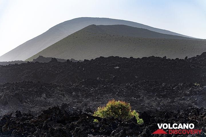 The caldera Blanca craters on Lanzarote. (Photo: Tobias Schorr)
