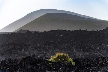 The caldera Blanca craters on Lanzarote. (Photo: Tobias Schorr)