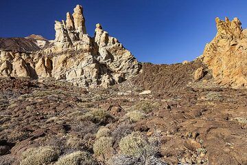 Lava flow in the caldera of Teide volcano on Tenerife island. (Photo: Tobias Schorr)