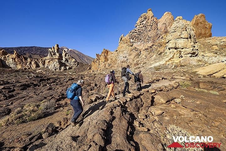 The VolcanoAdventures group hiking in the caldera of Teide volcano. (Photo: Tobias Schorr)