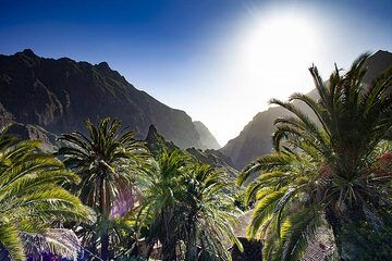 The famous Masca valley on Tenerife island. (Photo: Tobias Schorr)