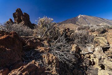 L'immense volcan Teide sur l'île de Tenerife. (Photo: Tobias Schorr)