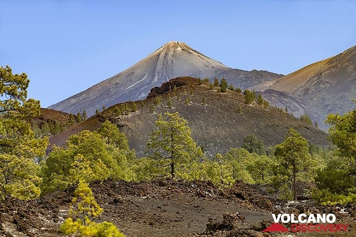 View from Montaña Sámara towards the huge Teide volcano on Tenerife island. (Photo: Tobias Schorr)
