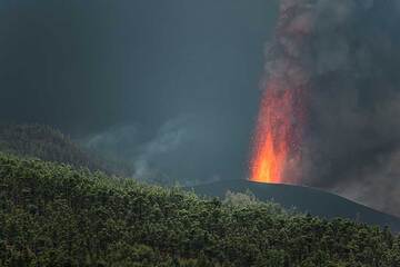 Der Ort des neuen Ausbruchs sind die bewaldeten Nordwesthänge des aktiven Schildvulkans Cumbre Vieja der Insel auf rund 900 m Höhe in der Nähe von El Paraiso, der bereits teilweise durch Lavaströme zerstört wurde. (Photo: Tom Pfeiffer)