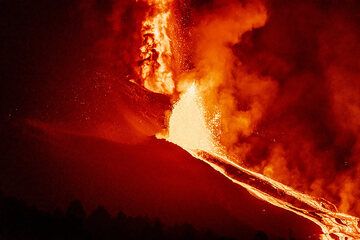 Ici, ils ressemblent à une torche de feu liquide. (Photo: Tom Pfeiffer)