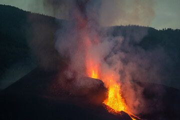 Au petit matin, l'activité continue sans relâche avec la même intensité que la veille. (Photo: Tom Pfeiffer)