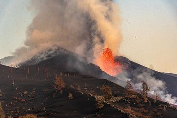 Lava fountain and ash emissions at the cone seen from northwest. (Photo: Tom Pfeiffer)