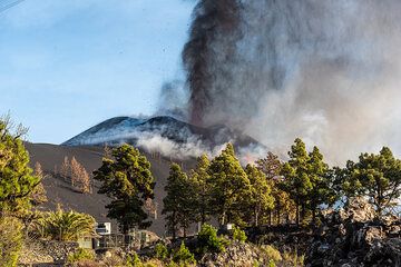 2 Oct 2021: the lava fountain of the summit vent has gained strength again. (Photo: Tom Pfeiffer)