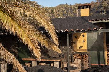 A holiday house covered in ash. (Photo: Tom Pfeiffer)