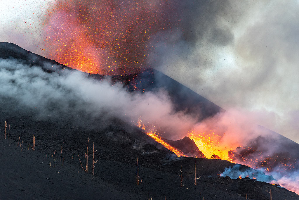 Seuls les troncs d'arbres sont encore debout sur l'ancien sol recouvert par les dépôts des flancs du cône ; leurs branches ont été arrachées par les bombes qui les frappaient. (Photo: Tom Pfeiffer)