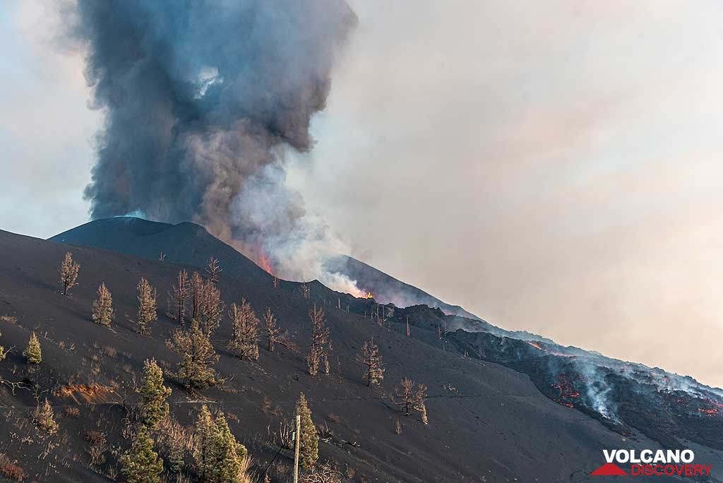 The collapse of the flank left a thick debris of hot blocks and chaotic lava flows on the northwestern flank. (Photo: Tom Pfeiffer)