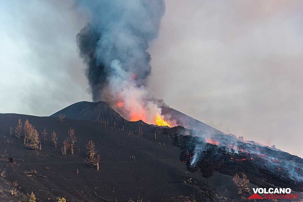 View of the lava erupting cone with the row of vents in the new valley-shaped craters and the collapse-triggered lava flow on the northwestern flank. (Photo: Tom Pfeiffer)