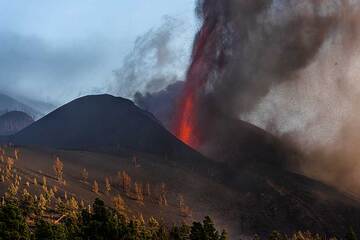 Dernier rayon de soleil frappant la forêt couverte de cendres au nord de l'éruption. (Photo: Tom Pfeiffer)