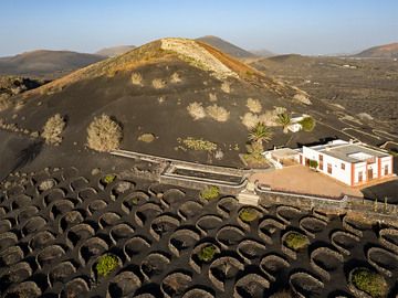 The typical vine fields of Lanzarote at a finca near the volcano Montaña de Peña Palomas. (Photo: Tobias Schorr)