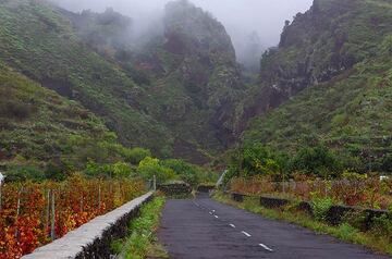 el-hierro_i50162.jpg (Photo: Tom Pfeiffer)
