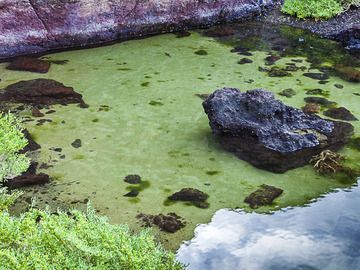 The little lake in the crater of Mña Bermeja (Photo: Tobias Schorr)