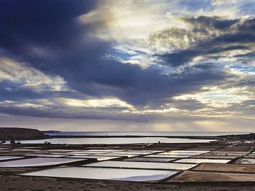 Les Salinas Janubia (Photo: Tobias Schorr)