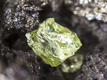 Olivine crystal (Photo: Tobias Schorr)