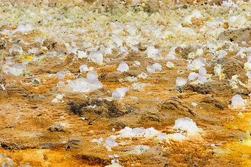 dallol_d21775.jpg (Photo: Tom Pfeiffer)