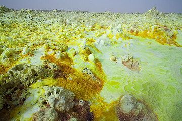 Bizarre yellow and green salt structures at Dallol hydrothermal field, Ethiopia (Photo: Tom Pfeiffer)