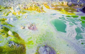 Dallol volcano, Feb. 2008: photos (Photo: Tom Pfeiffer)