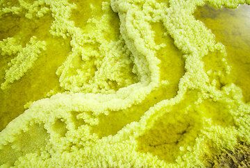 Gelbe Miniatur-Salzterrassen in einem grünen Teich an den hydrothermischen Quellen Dallol (Danakil-Wüste, Äthiopien) (Photo: Tom Pfeiffer)