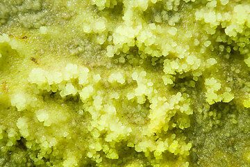 dallol_e37333.jpg (Photo: Tom Pfeiffer)