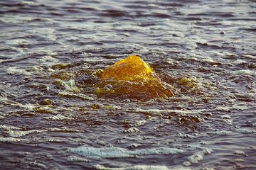 Strange fountains on the Yellow Lake at Dallol show the yellow color of the water. The color is not caused by sulfur, but probably bacteria living on hydrocarbons. (Photo: Tom Pfeiffer)