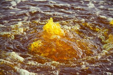 Seltsame Springbrunnen am Gelben See bei Dallol zeigen die gelbe Farbe des Wassers. Die Farbe wird nicht durch Schwefel verursacht, sondern wahrscheinlich durch Bakterien, die auf Kohlenwasserstoffen leben. (Photo: Tom Pfeiffer)